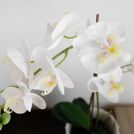 Lovely Home Paola Пуерто-Ріко Екстер'єр фото